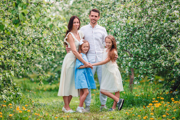 Fototapeta premium Adorable family in blooming cherry garden on beautiful spring day