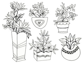 Black Hand Drawn Herbs, Plants and Flowers, Branches, Florals, flower pot . Illustration for coloring book scrapbook flowers drawing and sketch with line-art on white