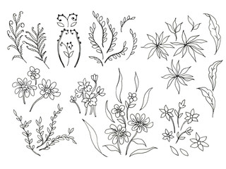 Black Hand Drawn Herbs, Plants and Flowers, Branches, Florals. Illustration for coloring book scrapbook flowers drawing and sketch with line-art on white