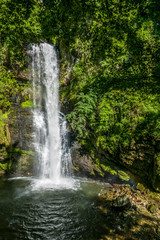 Fototapeta na wymiar Waterfall in a Jungle