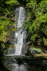 Waterfall in a Jungle