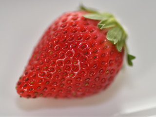 真っ赤な苺トチオトメ