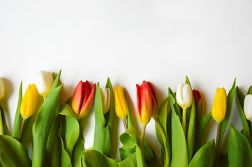 Bright bouquet of tulips . Flowers are white , red, and yellow.