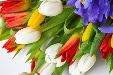 Bright bouquet of tulips . Flowers are white ,red, yellow, and blue.