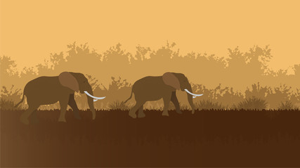 Elefanti all'alba