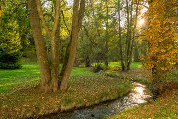 Fototapeta na wymiar idyllic landscape in the autumn