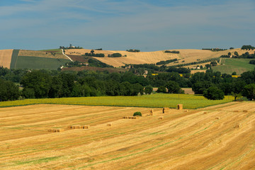 Fototapeta na wymiar Rural landscape near Macerata, Marches