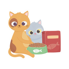 cats make me happy, cute kittens with bowl and box food pets