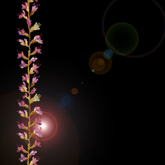 Watercolor seamless pattern. Abstract background with colorful  spring  field