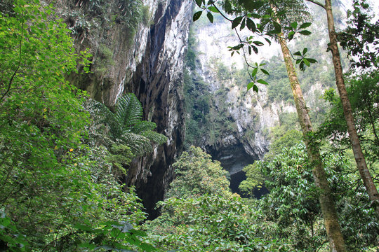 Mulu Caves, In Malaysian Borneo