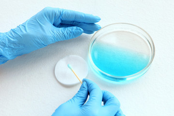 chemist at blue glowes at laboratory. testing with glass plate, blue liquid and sampler on his hands. viruses and health care concept