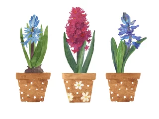 Behang Hyacint Aquarel hand getekend drie hyacinten in potten. Blauwe, paarse en roze hyacinten in keramische potten met ornament geïsoleerd op een witte achtergrond. Illustratie-element voor ontwerp, logo, etiketten, wenskaart.