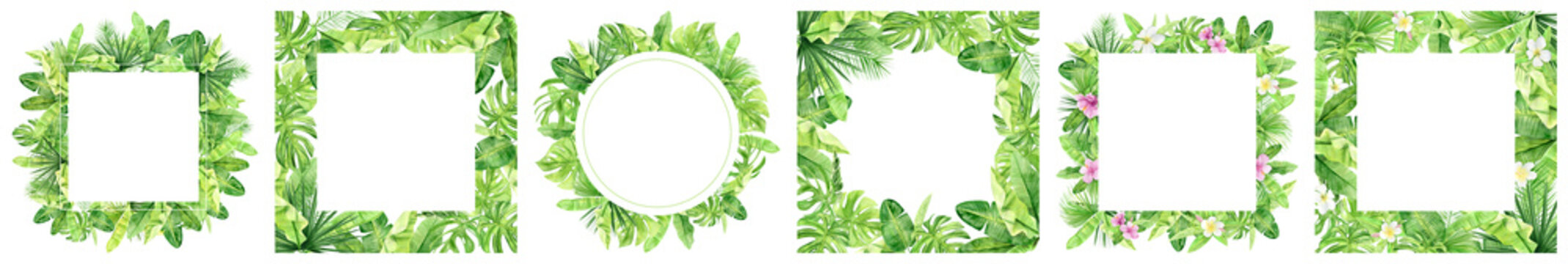 Green palm leaves and flowers frames for insagram post. Tropical plant. Hand painted watercolor illustration isolated on white background. Realistic botanical art. Social media