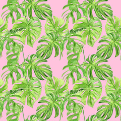Watercolor illustration seamless pattern of tropical leaf monstera. Perfect as background texture, wrapping paper, textile or wallpaper design. Hand drawn