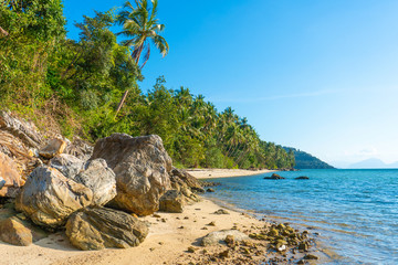 Obraz premium Sandy beach of a paradise deserted tropical island. Palm trees overhang on the beach. White sand. Blue water of the ocean. Rest away from people