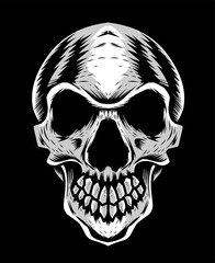 skull head vector illustration art
