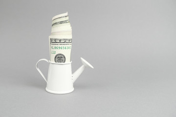 Money in the white watering. Growing, increasing money income, concept of investment, taxes, finance.