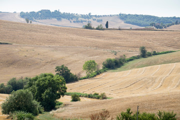 Fototapeta na wymiar Magnificent Tuscan rolling hills landscape in the Val d