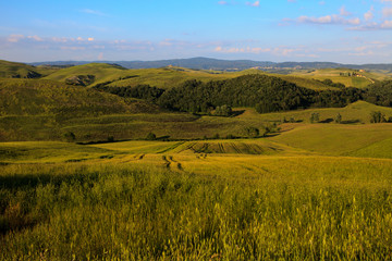 Fototapeta premium Asciano (SI), Italy - June 01, 2016: Typical scenary of Crete Senesi, Asciano, Siena, Tuscany, Italy