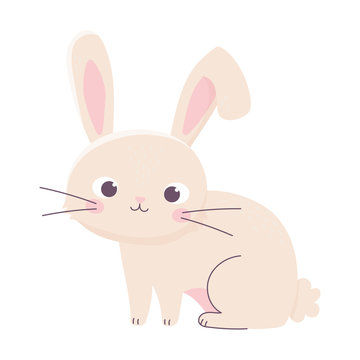 happy easter cute little rabbit cartoon season animal