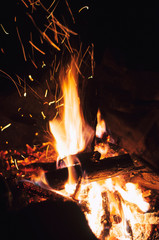 Fire wood brighly burning in furnace. Firewood burn in rural oven. Burning firewood in fireplace closeup. Fire and flames. Close up of burning fire wood in fireplace