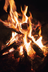 Fire wood brighly burning in furnace. Firewood burn in rural oven. Burning firewood in fireplace closeup. Fire and flames. Close up of burning fire wood in fireplace