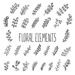Big set of floral elements, flowers, foliage and leaves. Lettering.