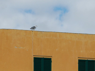 Scenic view of seagull on yellow building against sky in Varigotti, Italy
