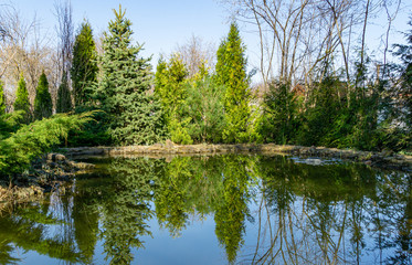 Magical garden pond. Spruce, tui and other evergreens on shore are reflected in water surface. Atmosphere of relaxation, tranquility and happiness in spring garden. Nature concept for spring design.