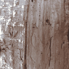 Natural stone texture.The vector seamless patern for decoration