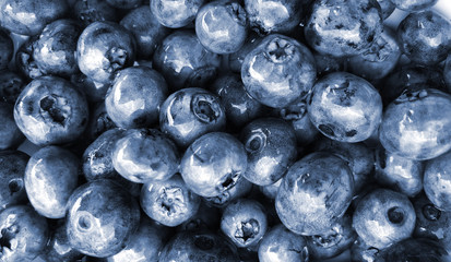 Blueberries background