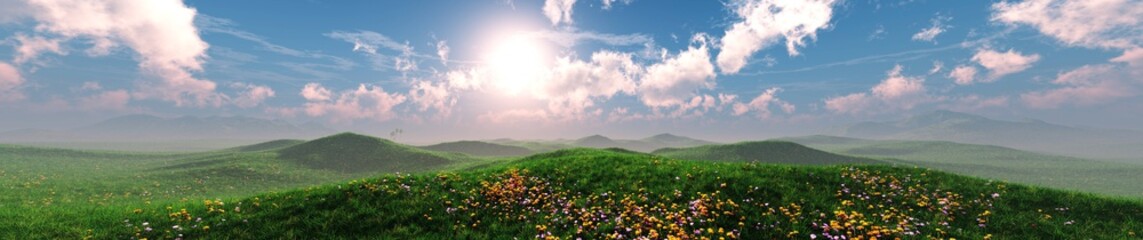 Beautiful panorama of a green meadow with flowers at sunset, panorama on the sunset lawn, meadow at sunrise, light in the sky with clouds over the meadow