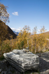 フィンランドの岩と景色