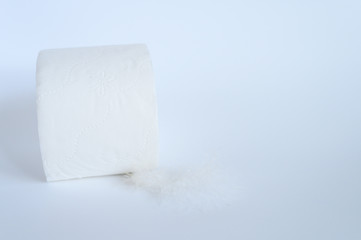 a roll of toilet paper and a white feather on a white background. space for text