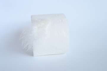 a roll of toilet paper and a white feather on a white background