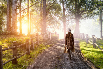 Fototapeta premium Housewife walking with shopping bags