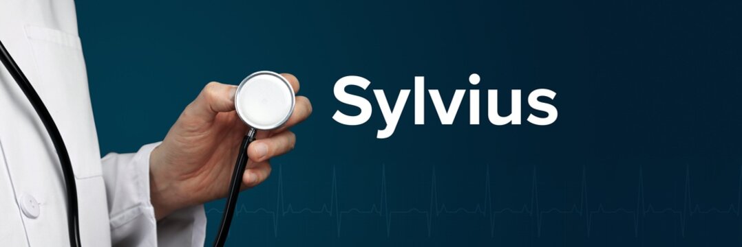 Sylvius. Arzt im Kittel h&auml;lt Stethoskop. Das Wort Sylvius steht daneben. Symbol f&uuml;r Medizin, Krankheit, Gesundheit