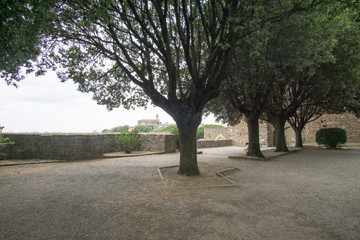 Fototapeta premium Montalcino, one of the most beautiful villages of Italy Tuscany Italy