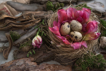 Fototapeta na wymiar Easter background. Small eggs for Easter in tulip flower nest on background of moss and bark. Copy space. Nature. 