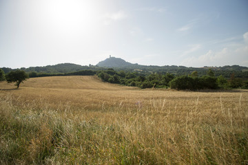 Fototapeta premium Magnificent Tuscan rolling hills landscape in the Val d