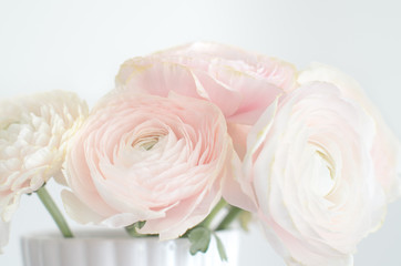 Light pink Persian buttercup Ranuncuus bunch in vase