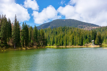alpine mountain lake among the forest. beautiful sunny weather with fluffy clouds on the blue sky. springtime scenery in dappled light. body of water in Synevyr national park, ukraine
