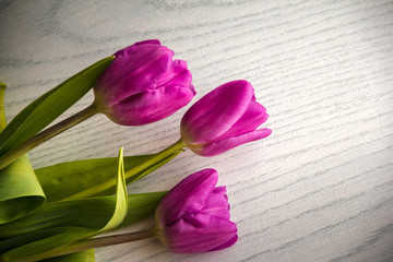 Pink tulips lie on the table.