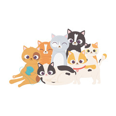 Fototapeta na wymiar cat with wool ball and kittens mascot feline domestic
