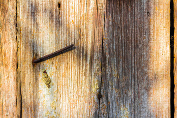 Old nails stick out in the fence.