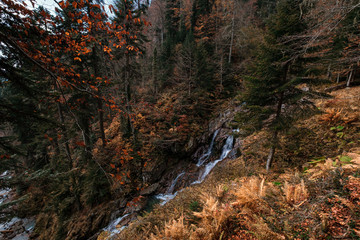 River deep in mountain forest. Nature composition.