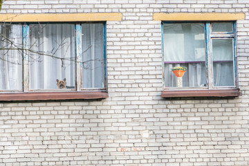 Obraz na płótnie Canvas windows in a residential building. old architecture