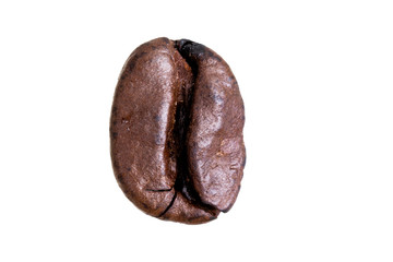 Single bean of coffee macro close up detail shot isolated against white background
