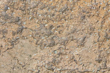 Background close-up. Gray, cement wall.