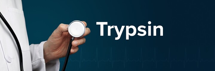Trypsin. Arzt im Kittel hält Stethoskop. Das Wort Trypsin steht daneben. Symbol für Medizin,...
